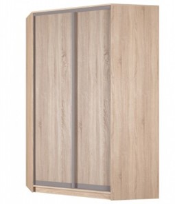 Угловой шкаф Аларти (YA-230х1400(602) (4) Вар. 1; двери D6+D6), без зеркала в Норильске