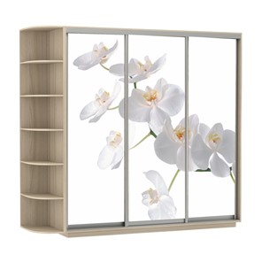 Шкаф Экспресс со стеллажом, 2100х600х2200, Орхидея белая/шимо светлый в Красноярске