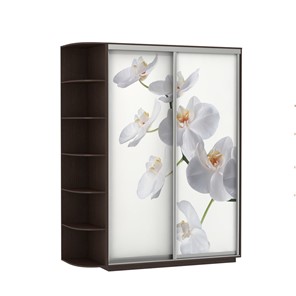 Шкаф 2-х дверный Экспресс 1900x600x2200, со стеллажом, Орхидея белая/венге в Норильске