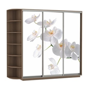Шкаф 3-х створчатый Экспресс со стеллажом, 2100х600х2200, Орхидея белая/шимо темный в Норильске