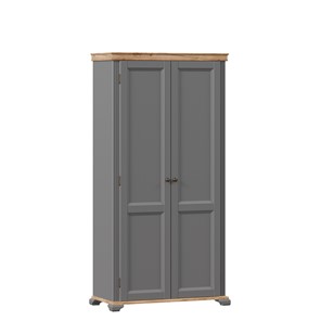Шкаф в гостинную двухстворчатый Амели (Оникс серый) ЛД 642.880 в Норильске