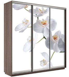 Шкаф 3-дверный Экспресс 2400х600х2200, Орхидея белая/шимо темный в Норильске