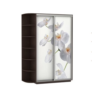 Шкаф 2-х створчатый Экспресс 1700x600x2200, со стеллажом, Орхидея белая/венге в Норильске
