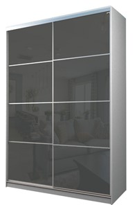 Шкаф 2-х дверный MAX МШ-23-6-16-22, Профиль Серебро/Цвет Белый/Oracal Темно-серый в Норильске