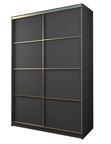 Шкаф 2-х дверный MAX МШ-25-6-18-11, Профиль Золото/Цвет Графит в Красноярске