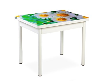 Кухонный пристенный стол СПА-01 СТФ, белый/фотопечать ромашки/опоры прямые белые в Норильске