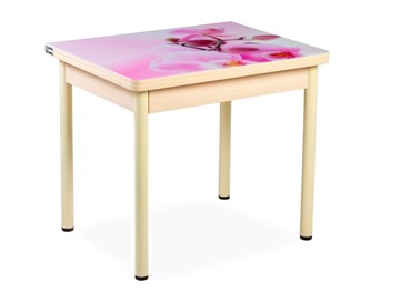 Кухонный пристенный стол СПА-02 СТФ, молочный дуб/фотопечать орхидея/опоры бежевый в Норильске