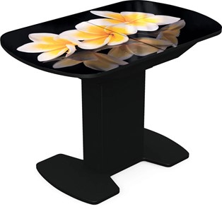 Кухонный раскладной стол Корсика исп. 1 Фотопечать (Цветы №11) 1100(1415)*700 в Норильске