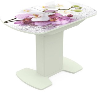 Кухонный раздвижной стол Корсика исп. 1 Фотопечать (Цветы №44) 1100(1415)*700 в Норильске