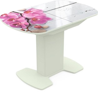 Кухонный стол раздвижной Корсика исп. 2 Фотопечать (Цветы №24) 1200(1515)*800 в Норильске
