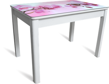Кухонный стол раздвижной Айсберг-01 СТФ, белое лдсп/орхидея/40 прямые массив белые в Норильске