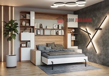Кровать-шкаф с диваном DetalMaster Дина, 1200х2000 в Норильске