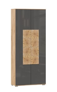 Шкаф двухстворчатый Фиджи с декоративными накладками 659.310, Дуб Золотой/Антрацит в Норильске