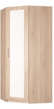 Шкаф распашной угловой Реал (YR-230х884 (9)-М Вар.1), с зеркалом в Норильске - изображение