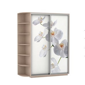 Шкаф 2-дверный Экспресс 1900x600x2200, со стеллажом, Орхидея белая/дуб молочный в Норильске