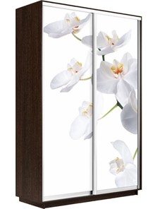 Шкаф 2-х дверный Экспресс 1400x600x2400, Орхидея белая/венге в Норильске