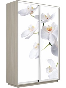 Шкаф 2-створчатый Экспресс 1600x450x2200, Орхидея белая/шимо светлый в Красноярске