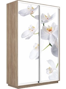 Шкаф двухдверный Экспресс 1600x450x2400, Орхидея белая/дуб сонома в Красноярске