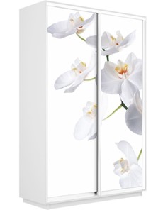 Шкаф 2-створчатый Экспресс 1600x600x2200, Орхидея белая/белый снег в Красноярске