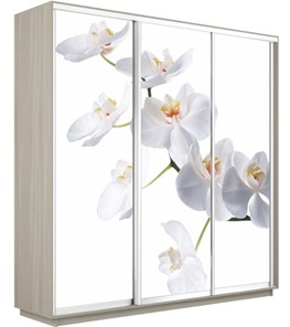 Шкаф 3-х дверный Экспресс 1800х600х2400, Орхидея белая/шимо светлый в Красноярске