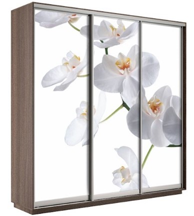 Шкаф Экспресс 2100х600х2200, Орхидея белая/шимо темный в Норильске - изображение