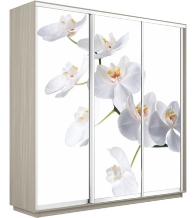 Шкаф 3-дверный Экспресс 2400х600х2400, Орхидея белая/шимо светлый в Красноярске - изображение