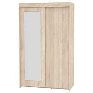 Шкаф 2-дверный Топ (T-1-230х120х60 (3)-М; Вар.1), с зеркалом в Норильске