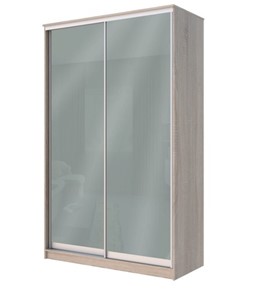 Шкаф 2-х створчатый Хит-22-14-22 с цветным стеклом, средне-серый 074, Дуб сонома в Норильске