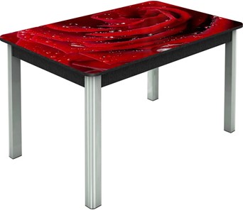 Раздвижной стол Гамбург исп. Мини, ноги метал. крашеные №23, Фотопечать (Цветы №39) в Норильске