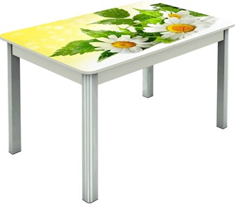 Кухонный стол раскладной Гамбург исп.2 ноги метал. крашеные №23, Фотопечать (Цветы №3) в Норильске