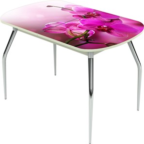 Раздвижной стол Ривьера исп.1 ноги метал. крашеные №24 Фотопечать (Цветы №16) в Норильске