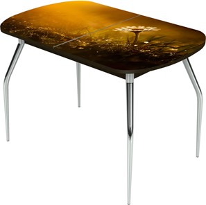 Кухонный стол раскладной Ривьера исп.2 ноги метал. крашеные №24 Фотопечать (Цветы №43) в Норильске