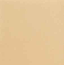 Стул Роджер Эконом С102-2(стандартная покраска) в Норильске - изображение 9