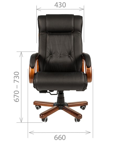 Офисное кресло CHAIRMAN 653 кожа черная в Норильске - изображение 1