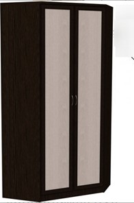 Шкаф 403 несимметричный, цвет Венге в Норильске - предосмотр