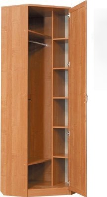 Шкаф распашной 402 угловой со штангой, цвет Дуб Сонома в Норильске - изображение 1