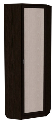 Шкаф 402 угловой со штангой, цвет Венге в Норильске - изображение
