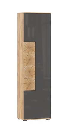 Шкаф одностворчатый Фиджи с декоративными накладками 659.300, Дуб Золотой/Антрацит в Норильске - изображение