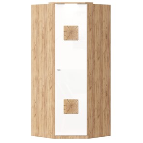 Шкаф угловой 45 с декоративной накладкой Фиджи, 659.248, белый в Норильске - предосмотр