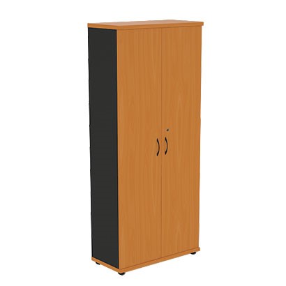 Шкаф для одежды Моно-Люкс R5S05 в Красноярске - изображение