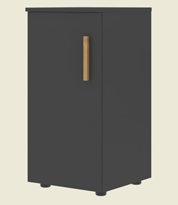 Низкий шкаф колонна с глухой дверью левой FORTA Черный Графит FLC 40.1 (L) (399х404х801) в Норильске