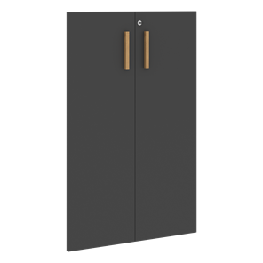 Двери для шкафов средние с замком FORTA Черный Графит FMD 40-2(Z) (794х18х1164) в Красноярске